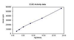 Eurofins DiscoverX CLK3 Protein, Active 10 &mu;g | Buy Online | Eurofins DiscoverX | Fisher Scientific